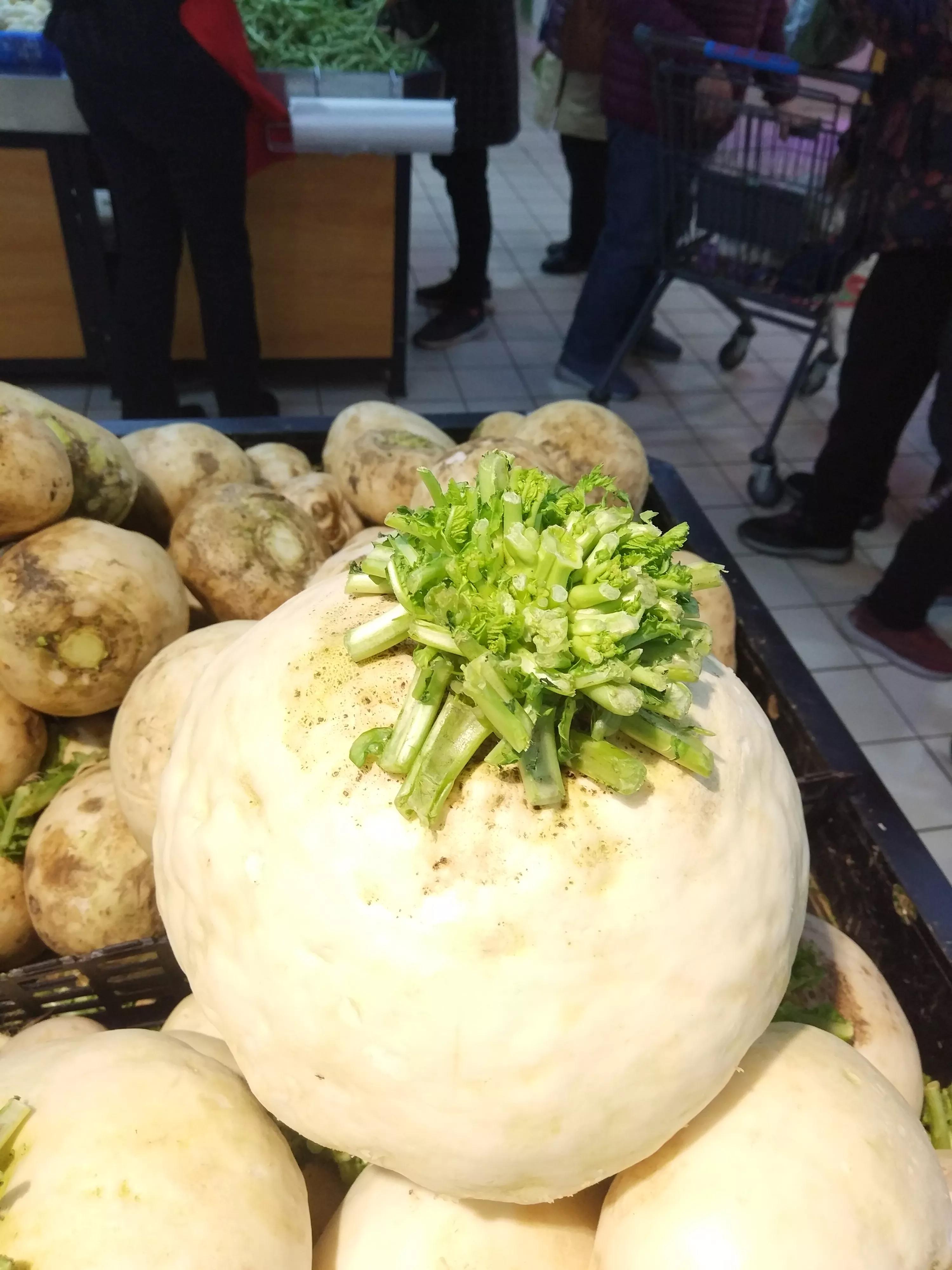 巨型萝卜百斤,12斤巨无霸萝卜
