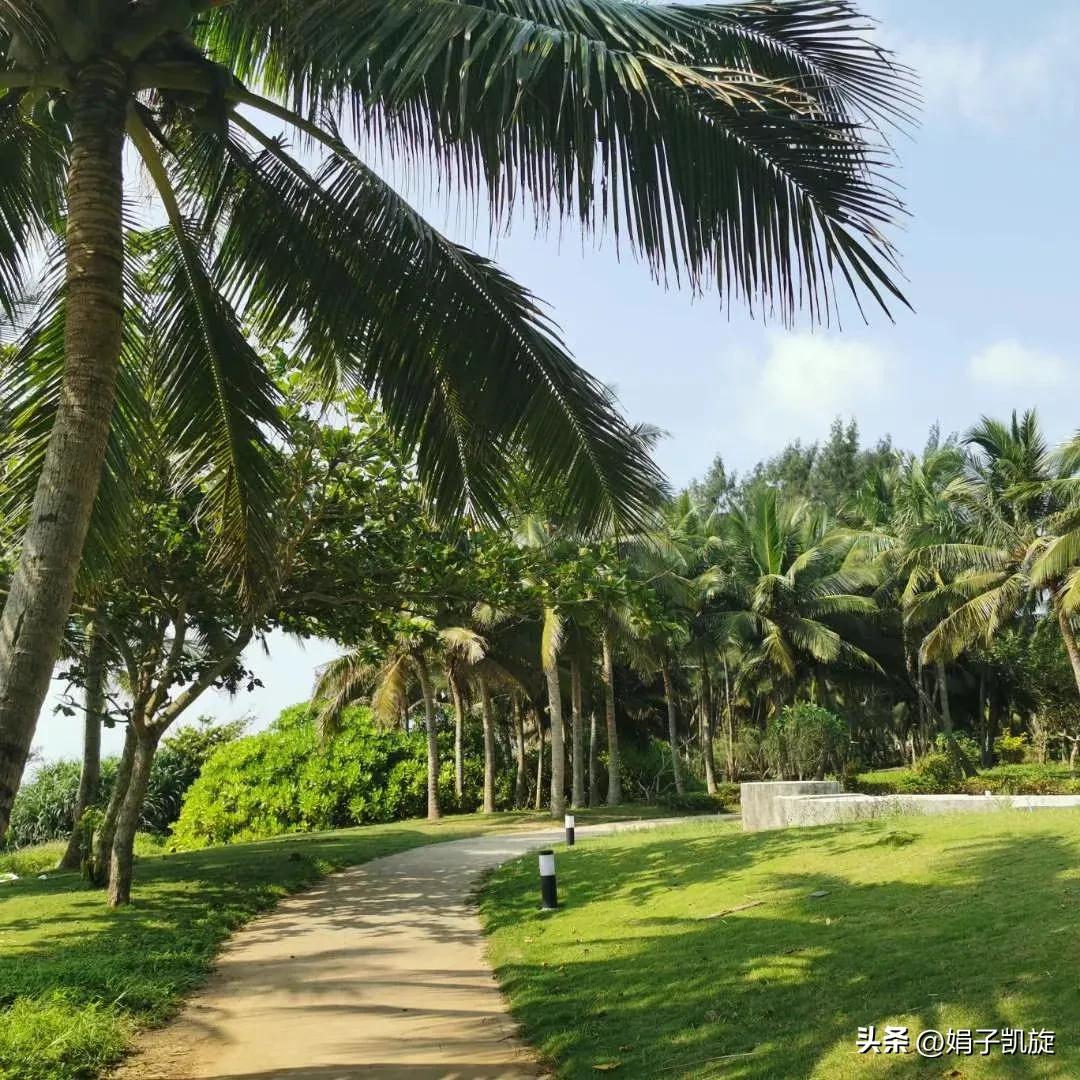 杨绛晚年语录,杨绛语录摘抄大全集