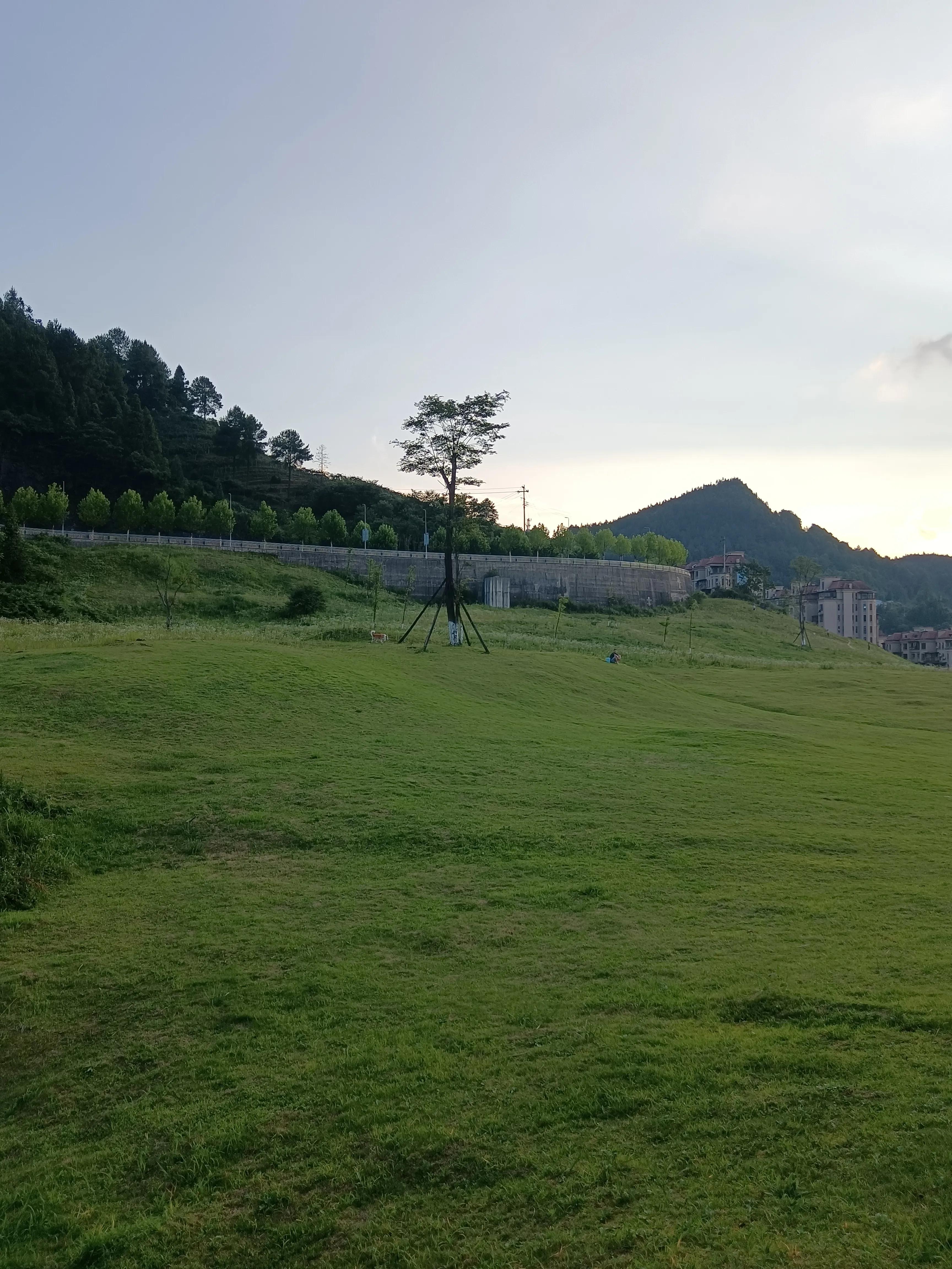 重庆避暑7天黑山谷,远离城市的喧嚣避暑胜地