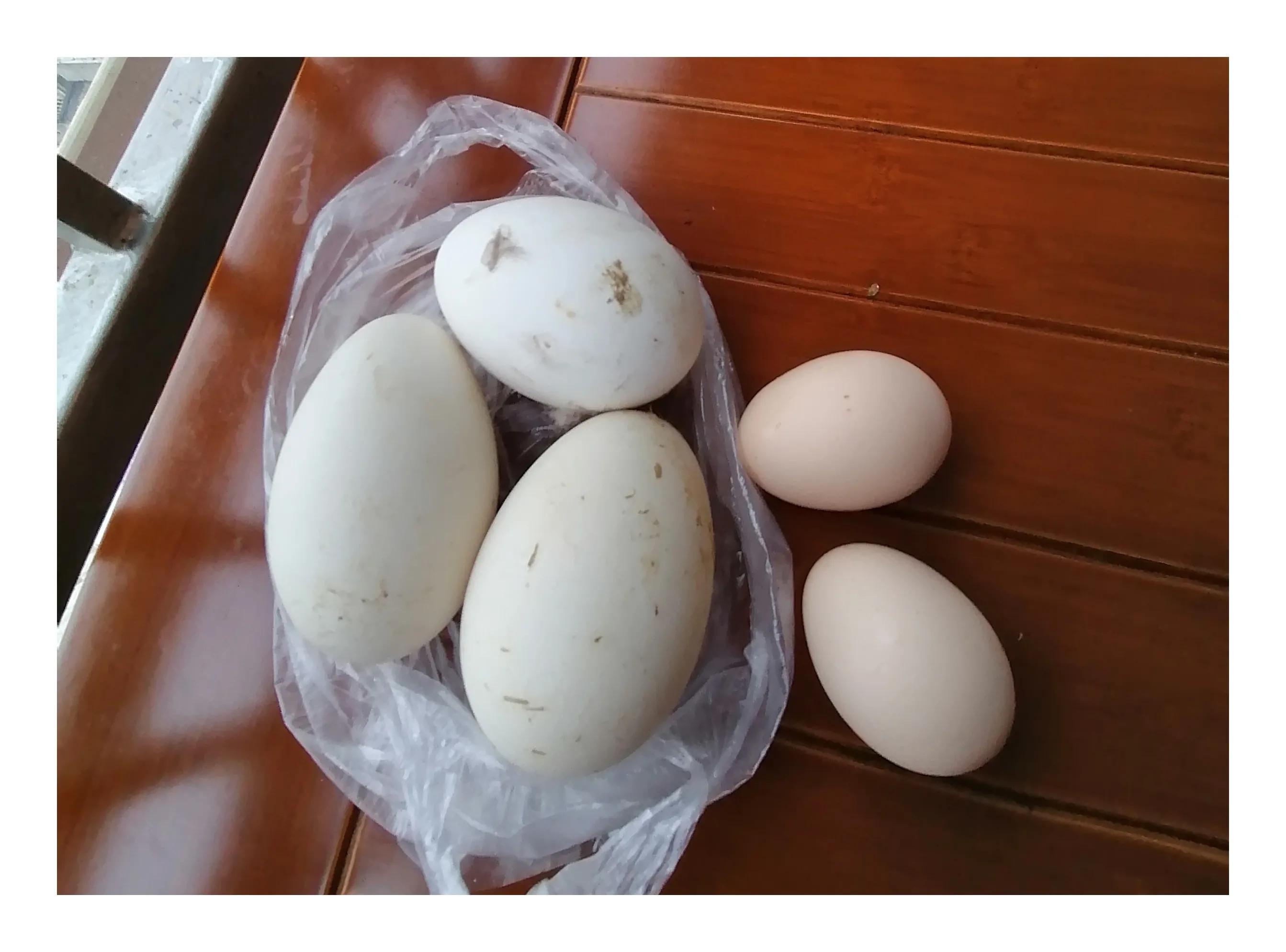 荨麻疹疑难病例讨论,一个患荨麻疹有悲催经历的女生