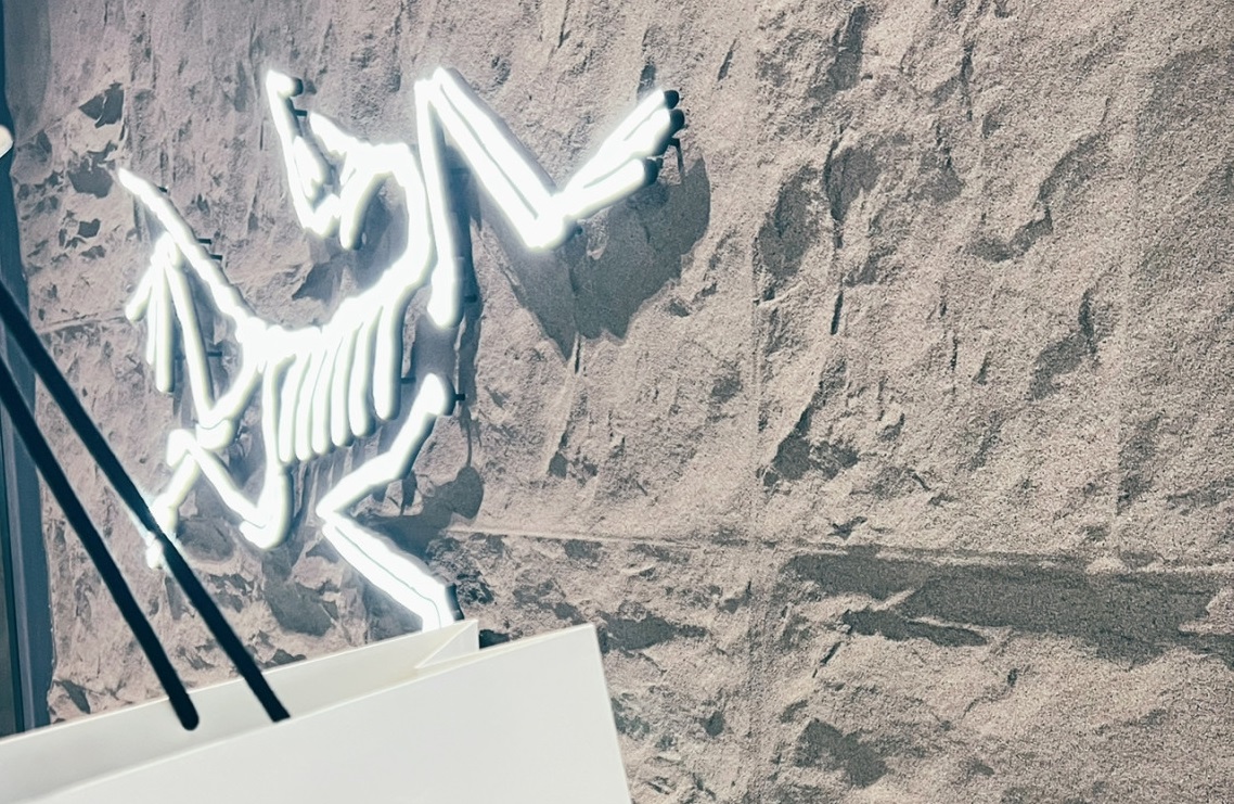 始祖鸟用户,始祖鸟洗衣服为什么这么慢