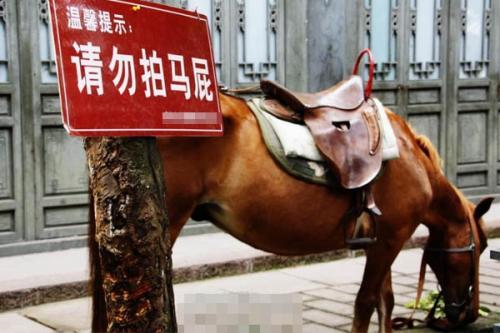 看病记2终于拆线了，医生却说我反应迟钝，检查结果却让人很无语