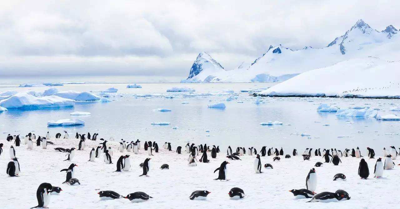 如何前往南极,去南极中心需要多少钱