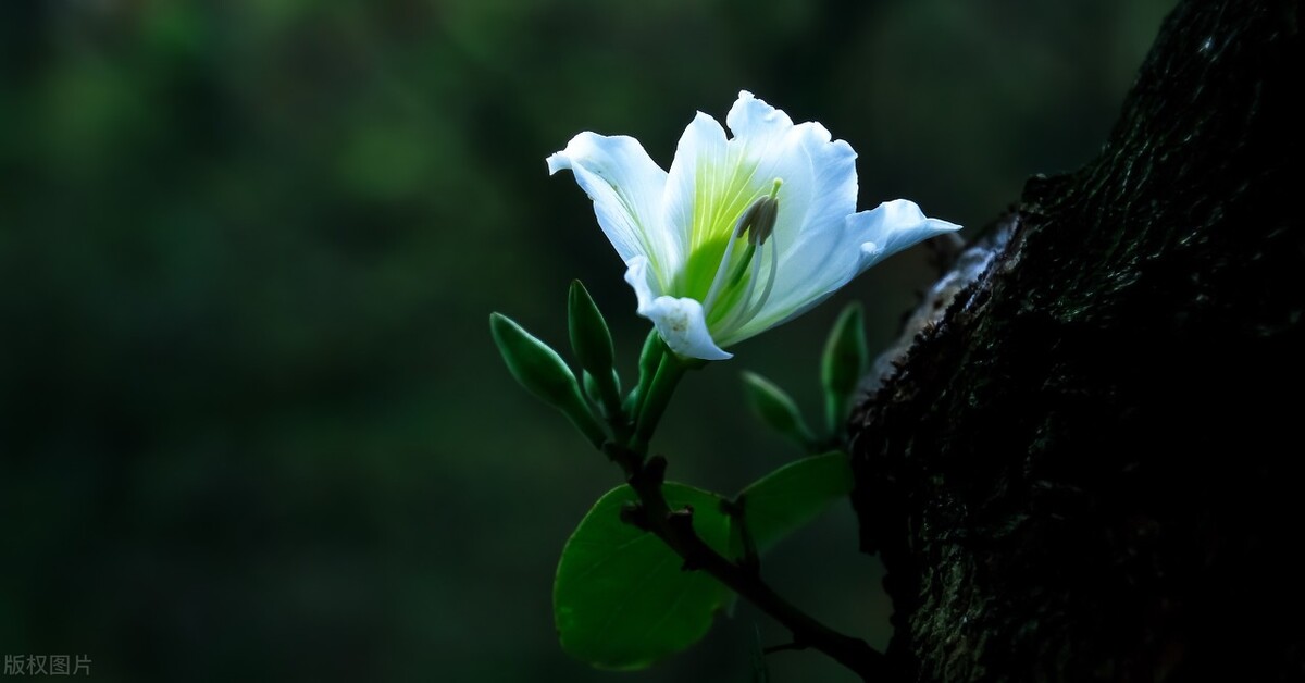 一个人穿鞋子能看出什么,从一个人的鞋子可以看出什么