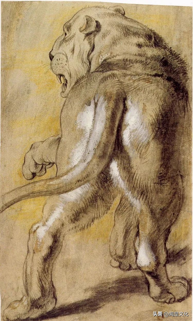 天津美院教授于小冬速写,于小冬美院速写图文