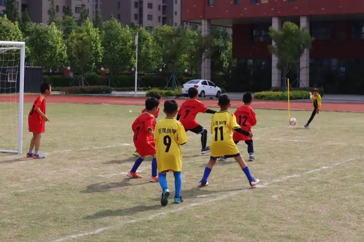 第十一届小学校园杯足球赛,校园足球点燃绿茵