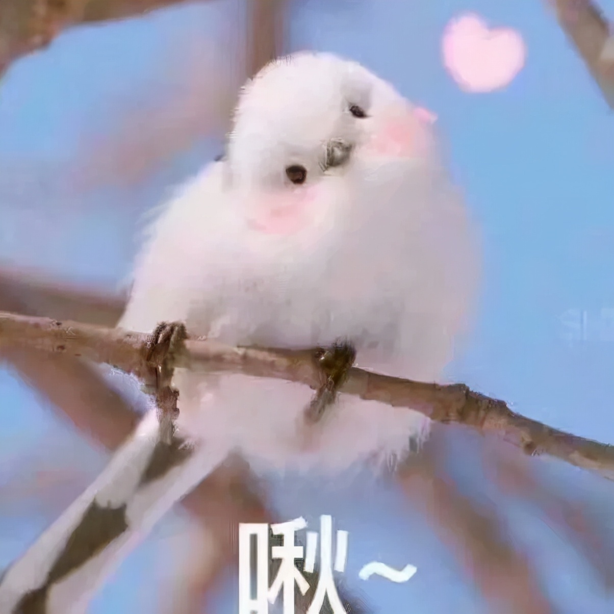 玉田中医院做腹腔镜手术多少钱,微创腹腔镜