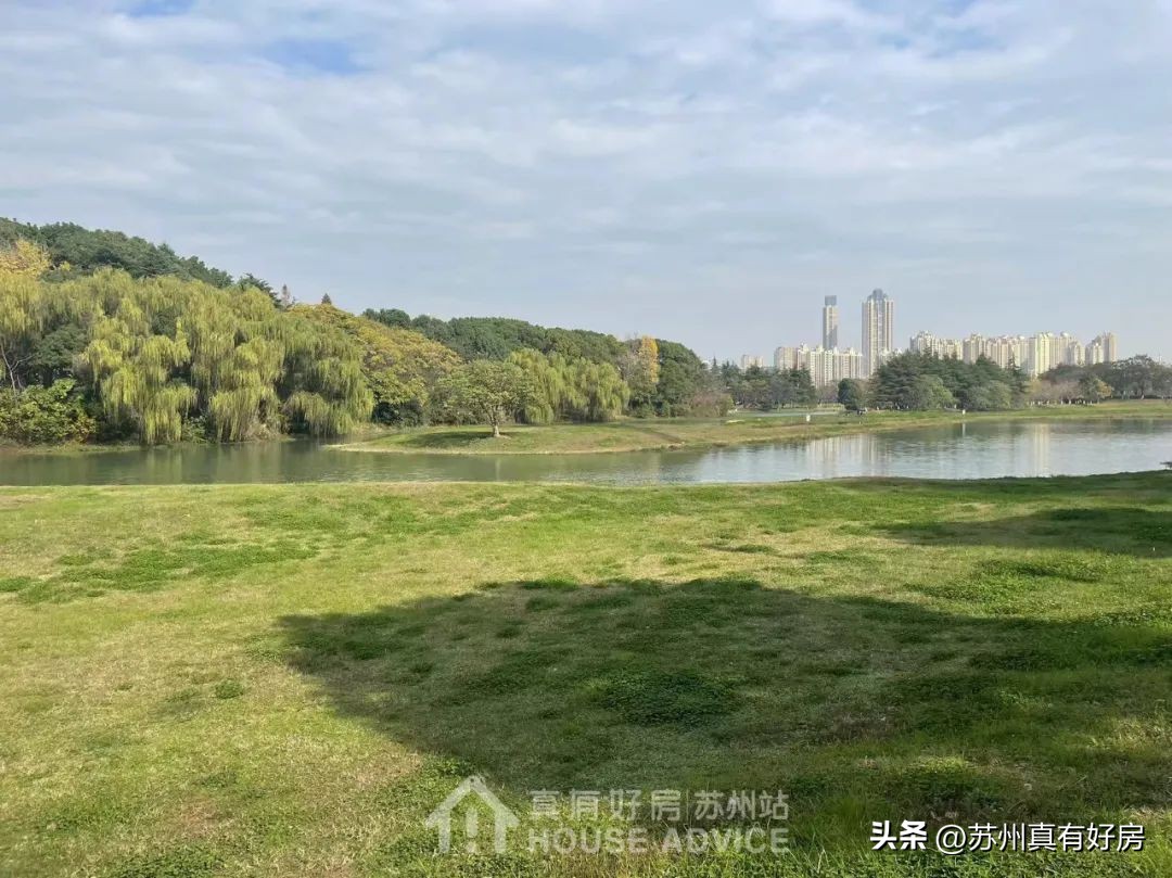 逢开必罄！中签率不超11%！实探神盘永旺西的真实面貌