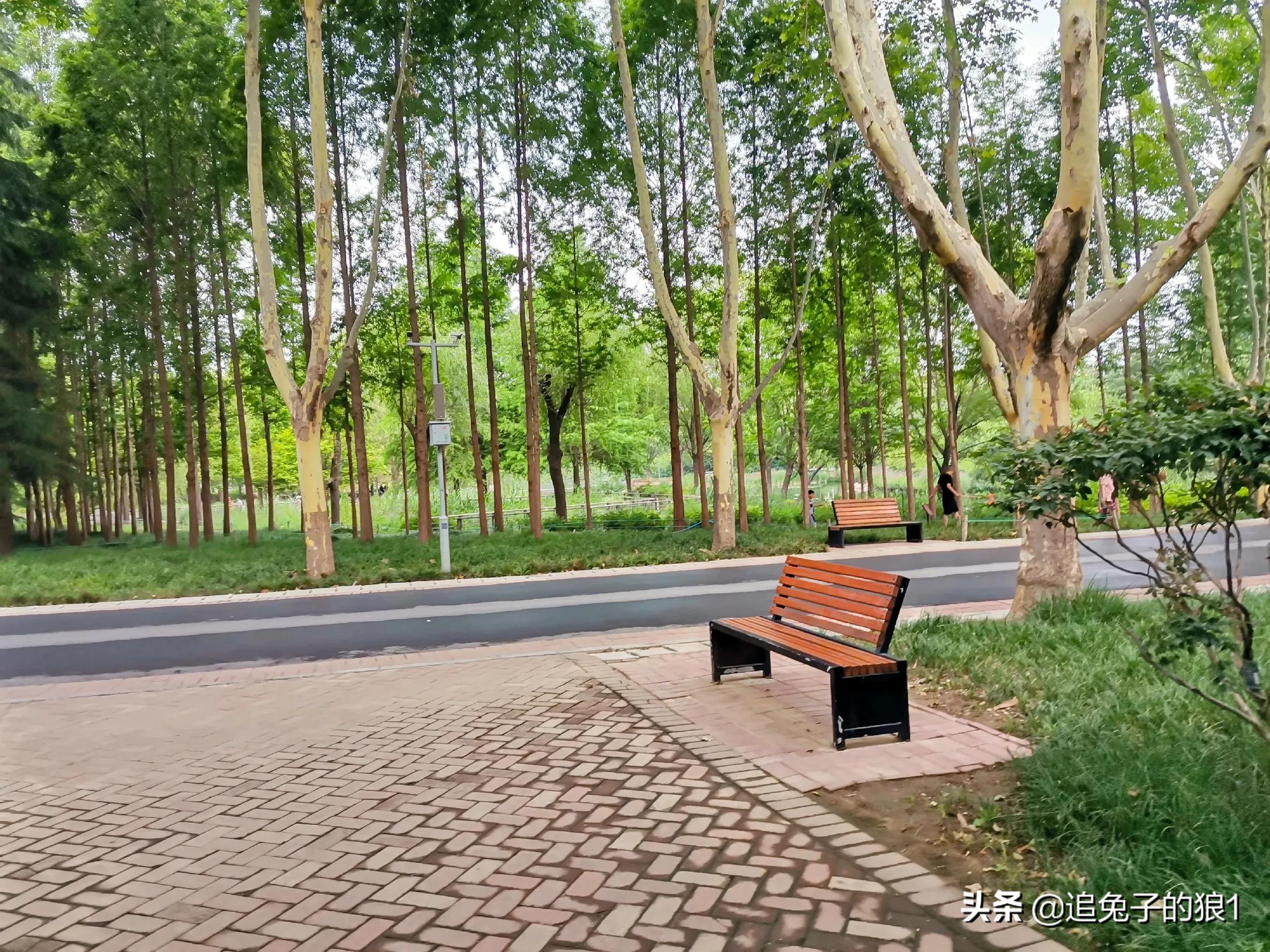 孔子曰己所不欲勿施于人什么意思,正如孔子说己所不欲勿施于人