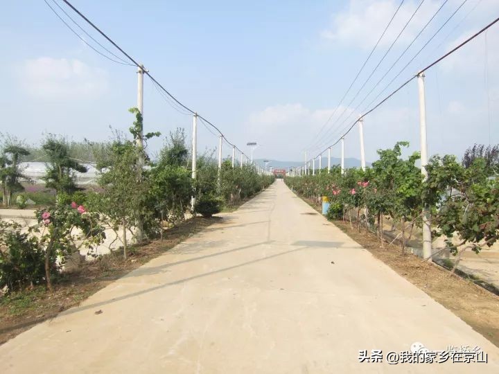 京山孙桥姬家河水库,湖北京山孙桥村
