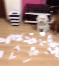 公公给我儿子看病图片,公公陪儿子输液哭了