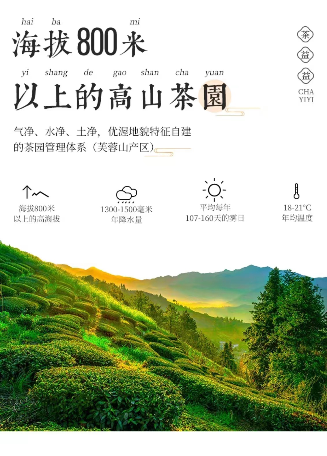 神农茶现泡茶,神农坛神农茶