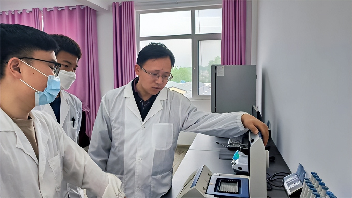 小鸽子创业,小鸽子成长之路