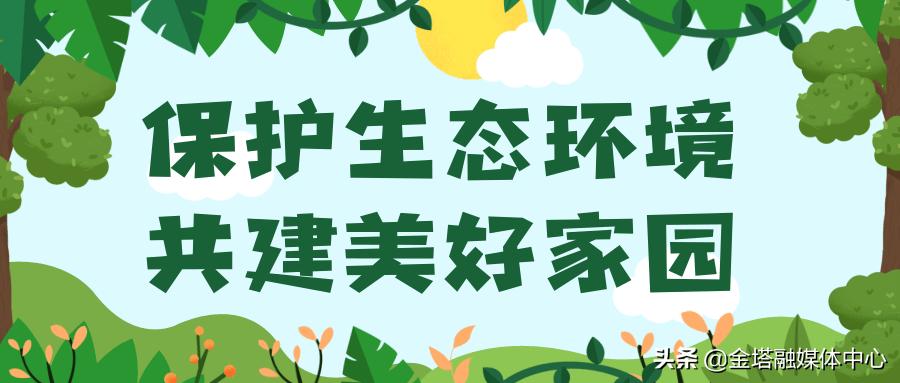 金塔县足球联赛,2022年沙河营小学生足球比赛