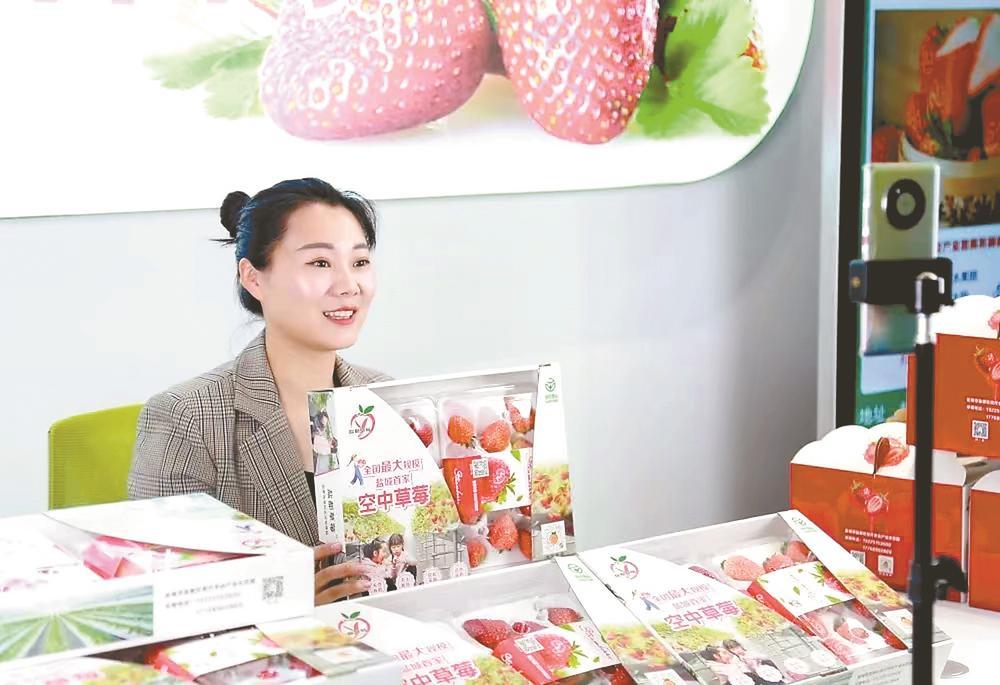 江苏盐城：构建“青立方”服务体系助力青年创新创业