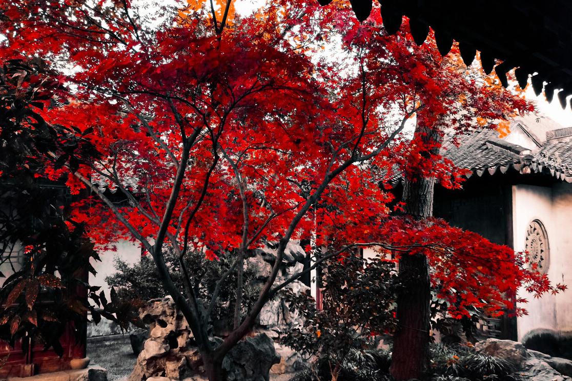 一次游完苏州4大园林攻略,逛苏州四大园林花费