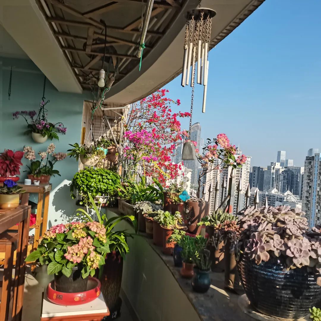 很多人羡慕的阳台,让别人羡慕的阳台