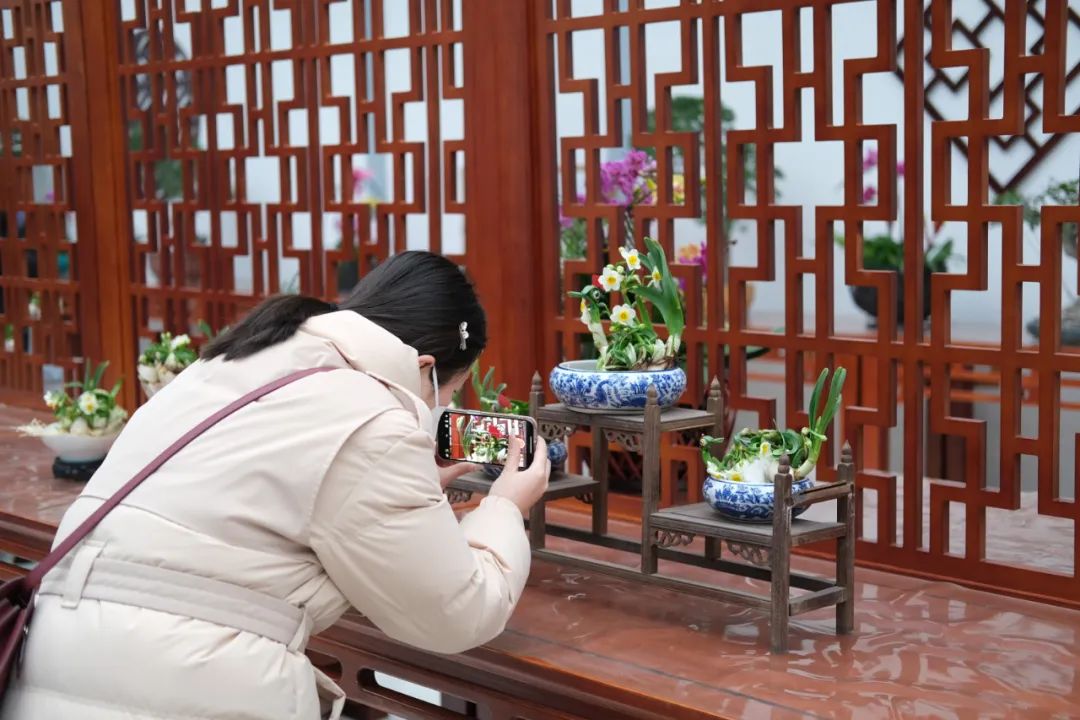 2023泉城新春贺年会来啦!灯会庙会游园会统统都有