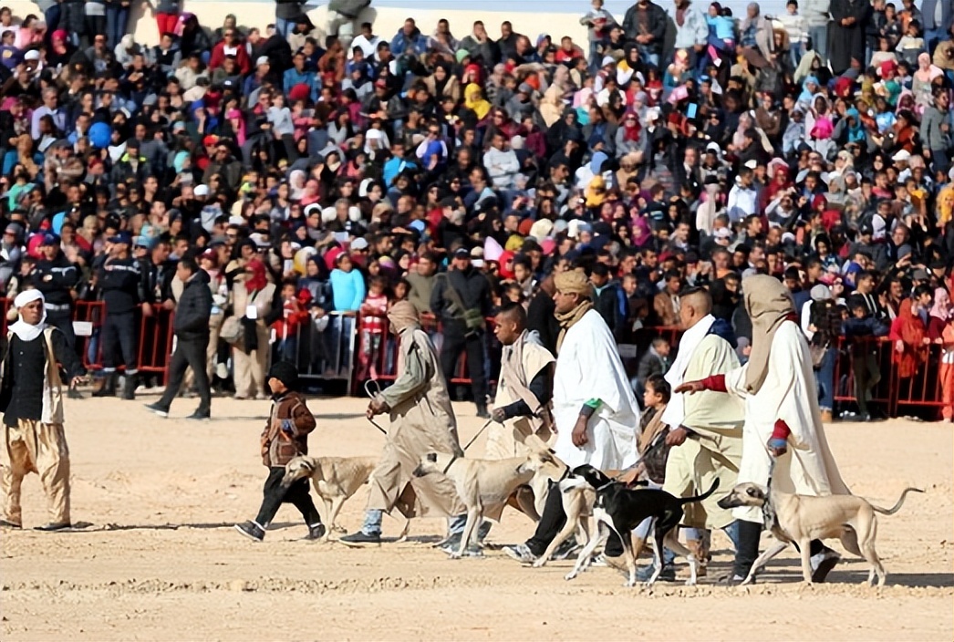 铠甲勇士弘扬和传承民族文化,铠甲传承合集