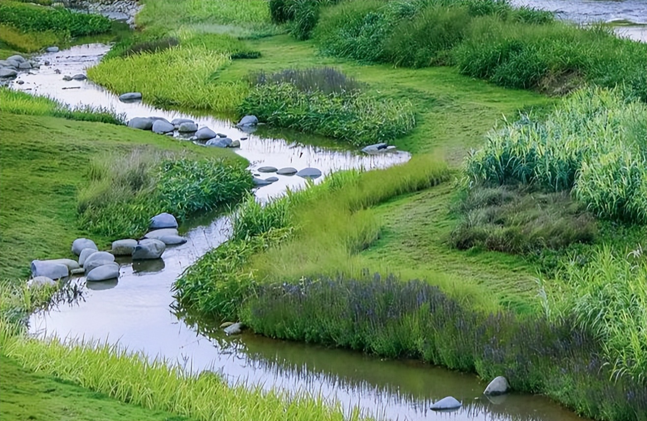 农村黑臭水体治理由哪个部门负责,福建漳浦：黑臭水体治理见行见效