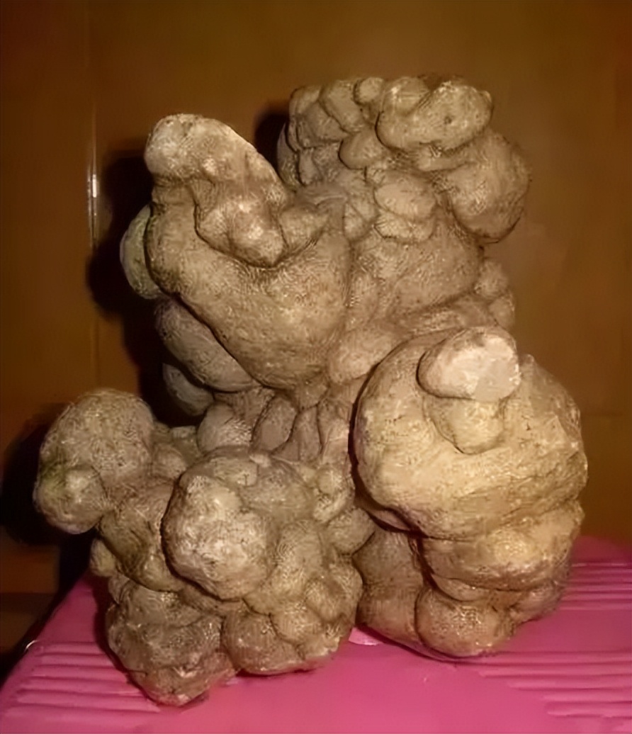 中国100种奇石图谱,中国10大奇石图片