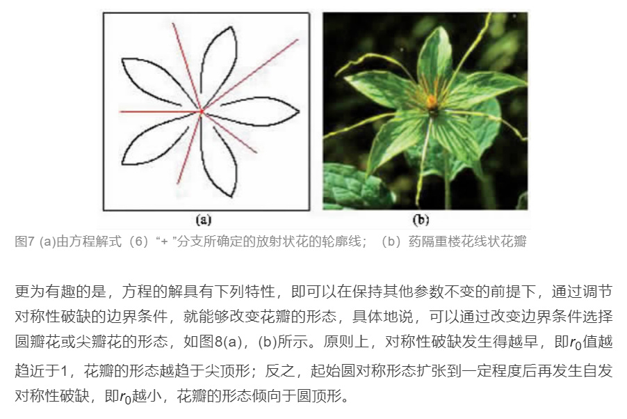 美丽是形容人还是形容物,美丽是形容什么的