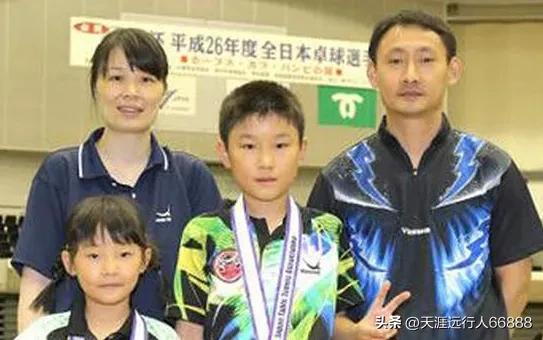 日本的张本智和赢球了吗,张本智和最近的日本比赛