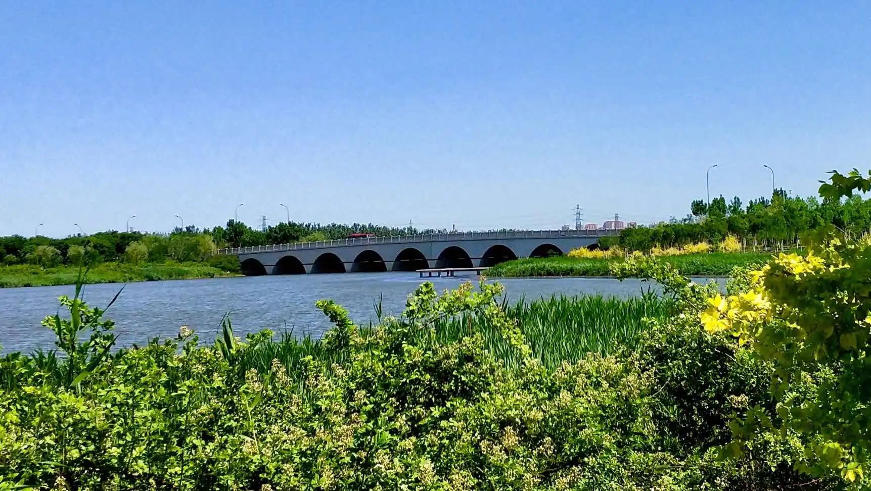 海河教育园湿地公园11月份,海河教育园区湿地公园国庆氛围