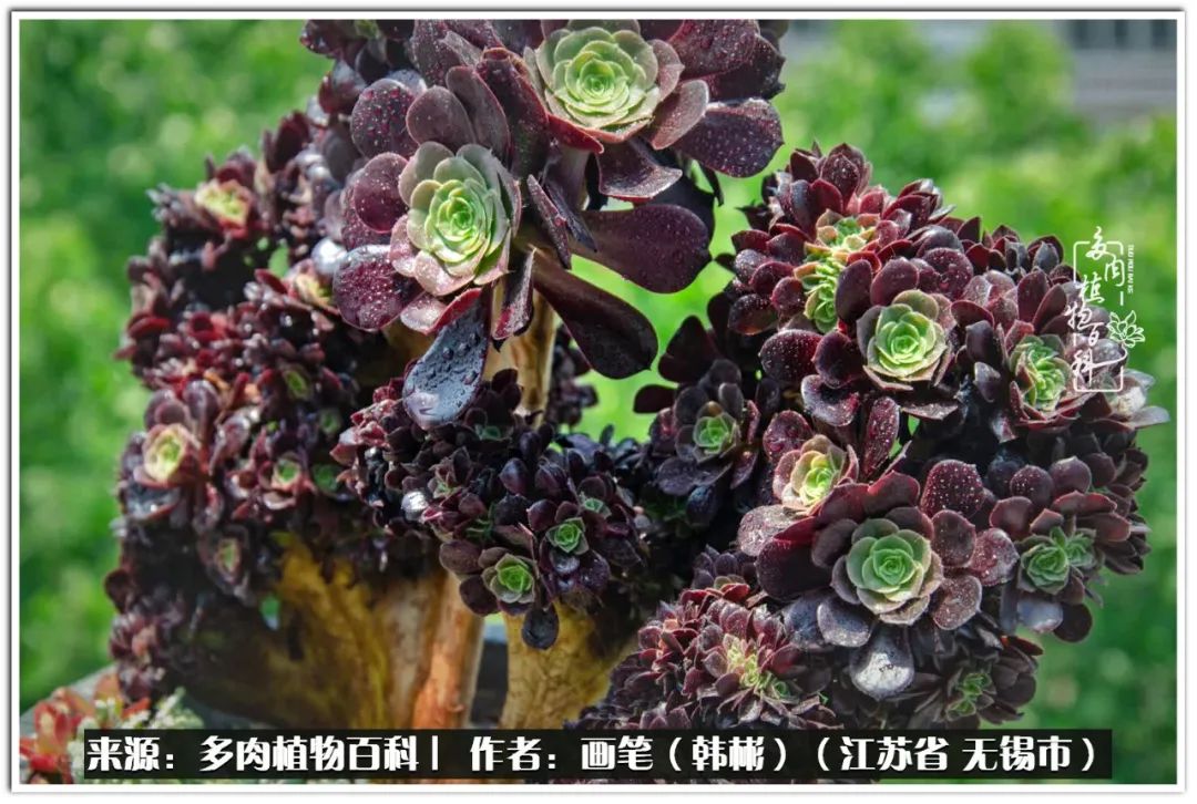 每个人的身旁都要有太阳,每个人都有一颗太阳