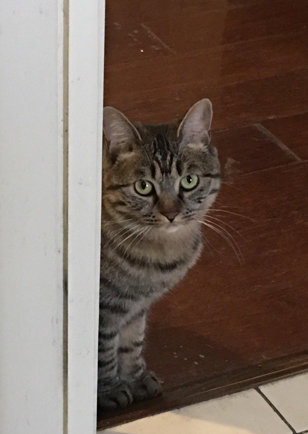 日军日记:*安妇慰**不服从管教,我很愤怒,用*刀刺**插入她的*体下**