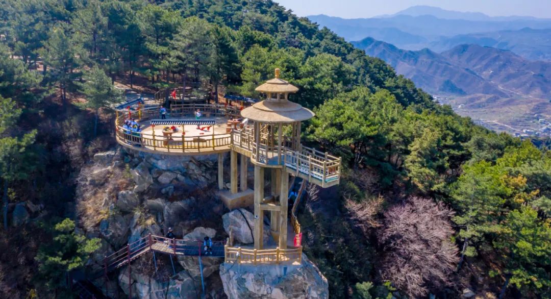 济南旅游公交专线有哪些 (济南近郊公交直达的游玩场所)