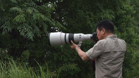 哪里能买到佳能rf800mmf5.6定焦镜头,佳能rf600与佳能rf800mm对比图