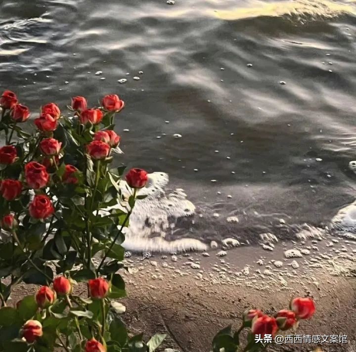 关于坚守的座右铭名言警句,坚守平凡岗位座右铭