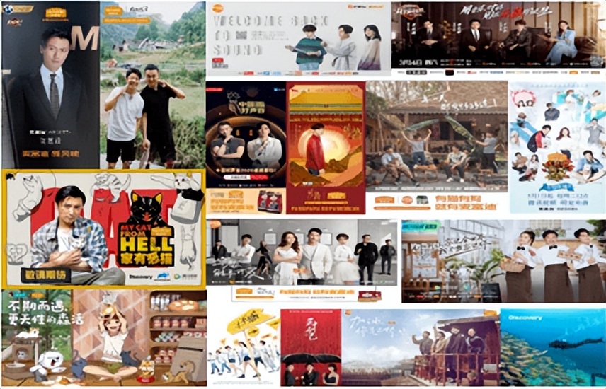 月投500达人，国产猫粮头部品牌麦富迪能否靠营销换资本前程？