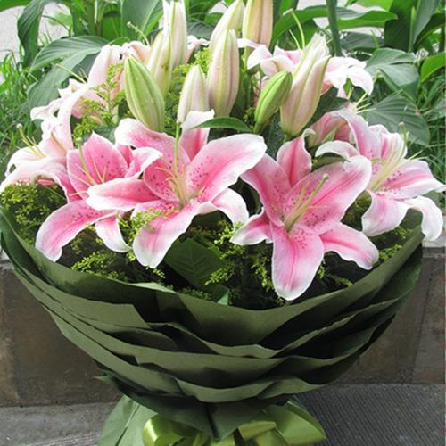 重瓣香水百合的种植时间和方法,香水百合的种植方法和注意事项