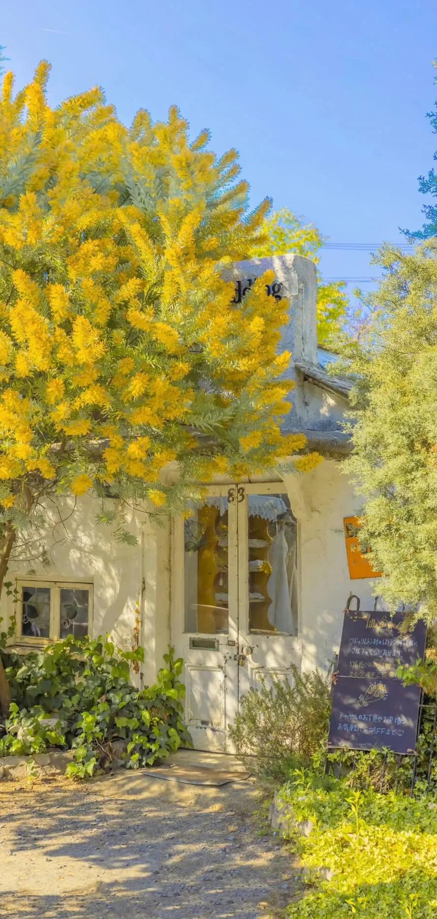 湛蓝的海水海滩风景高清壁纸,高清壁纸8k全屏无水印风景