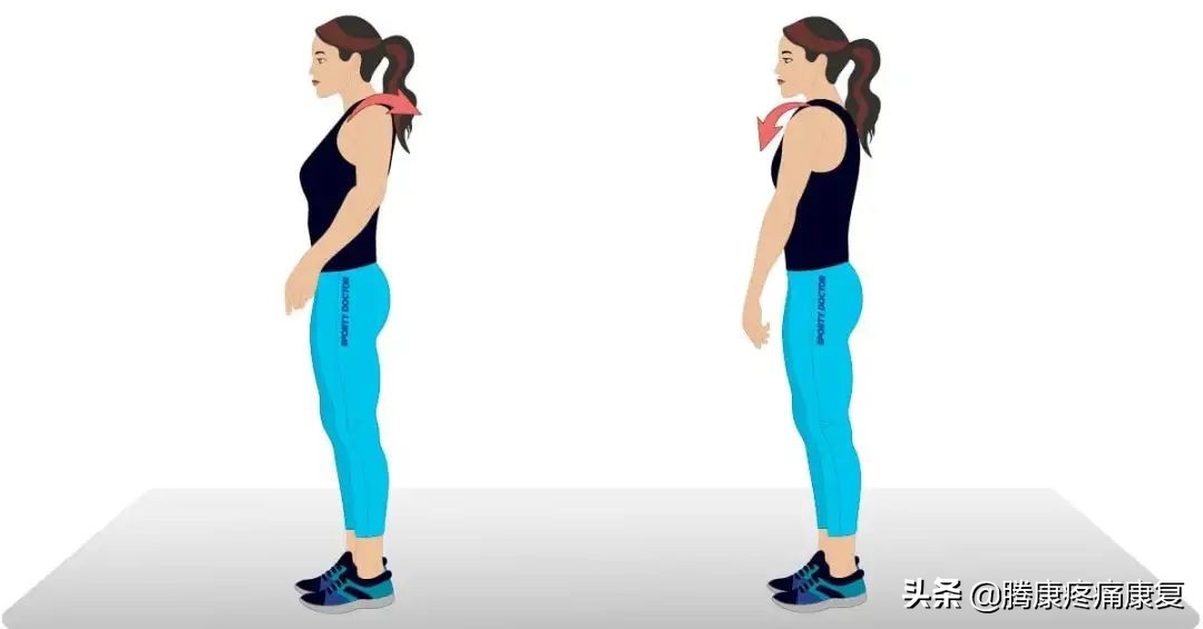 最新运动指南实锤,高效又轻松的运动指南