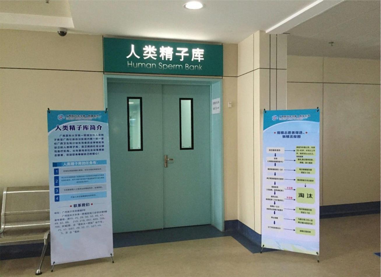 捐精流程是什么？隐私安不安全呢？并不是人人都可以成为捐精者