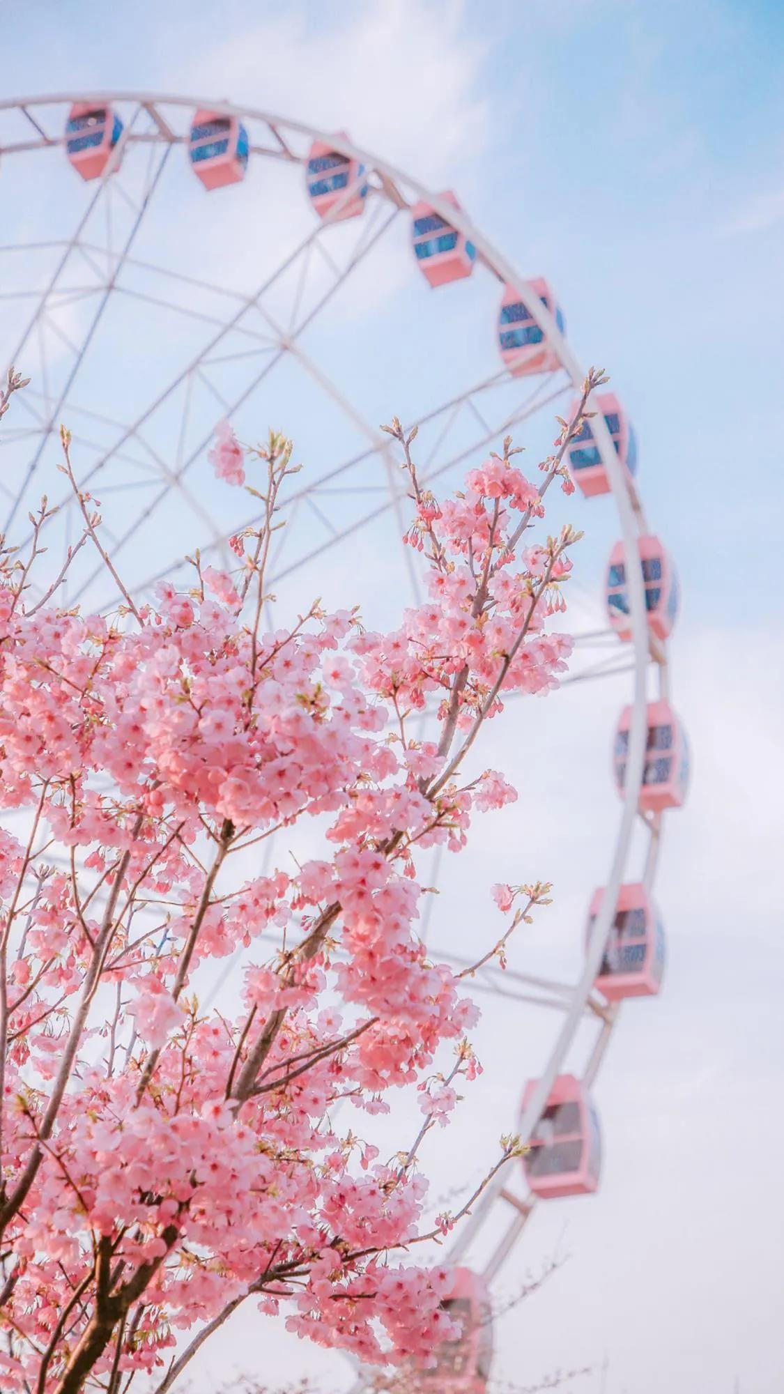 爱你的人不舍得让你受一丁点委屈,爱你的人不忍心让你流一滴眼泪