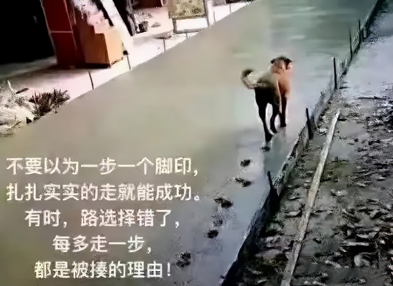 女孩学师范类好还是工科类好,女孩选工科好还是师范好