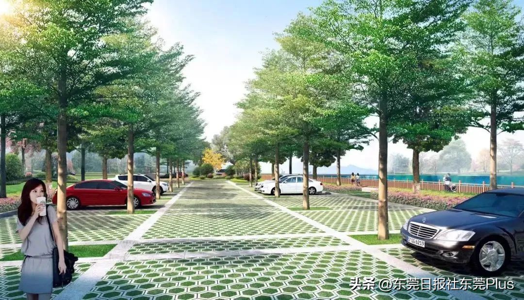 麻涌公园里最新消息,东莞麻涌公园