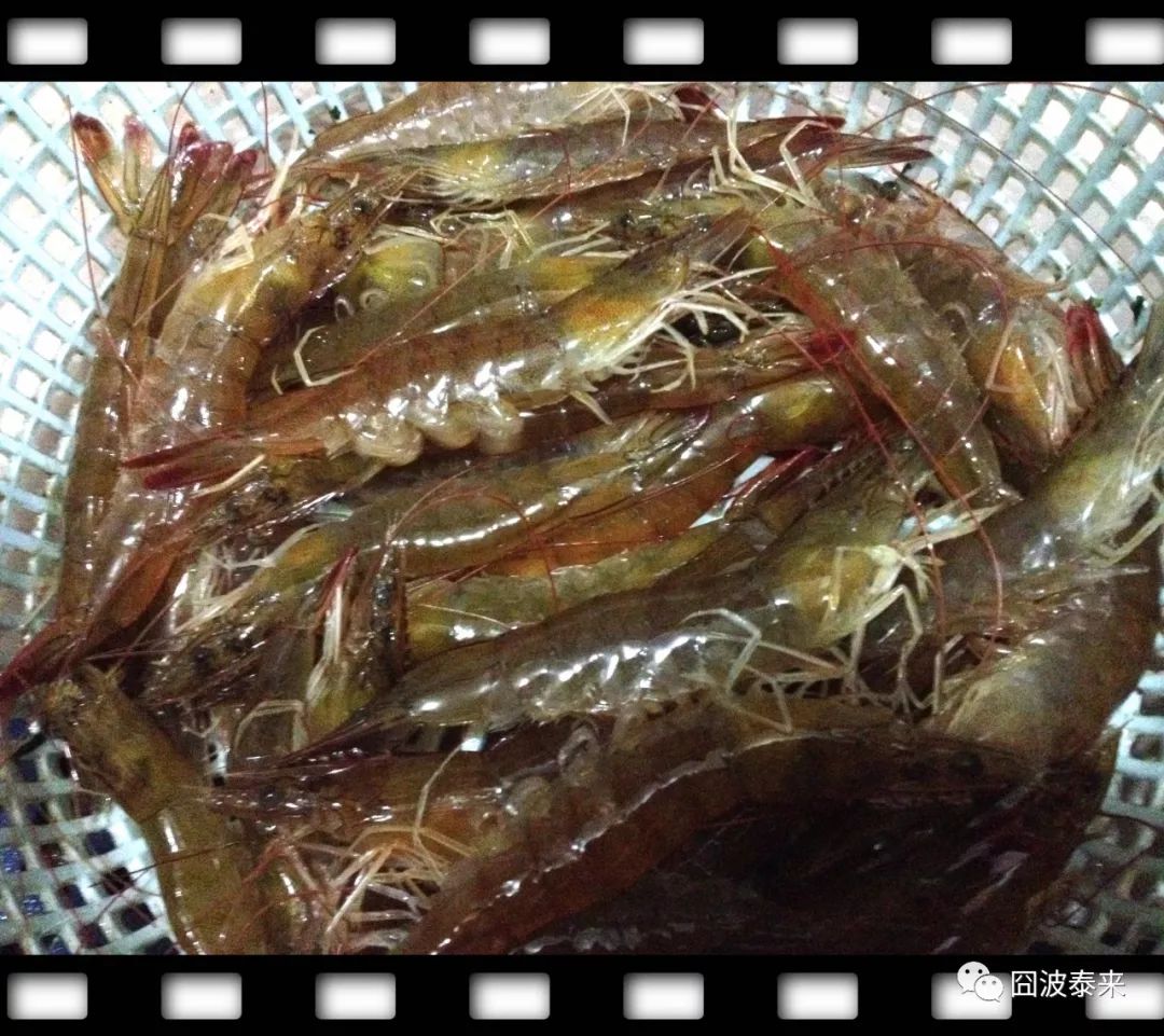 一碗鲜羊杂汤,热乎乎的一碗羊杂汤