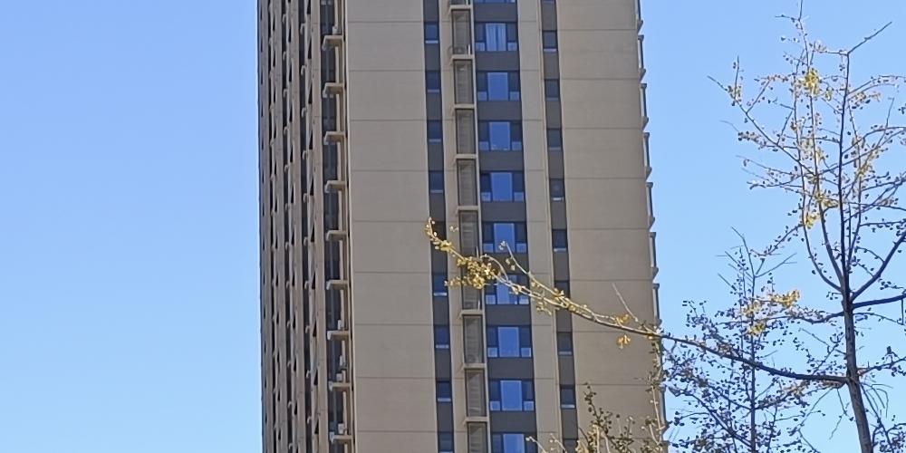 redminote11拍照效果,2亿级普通像素与5000万相机