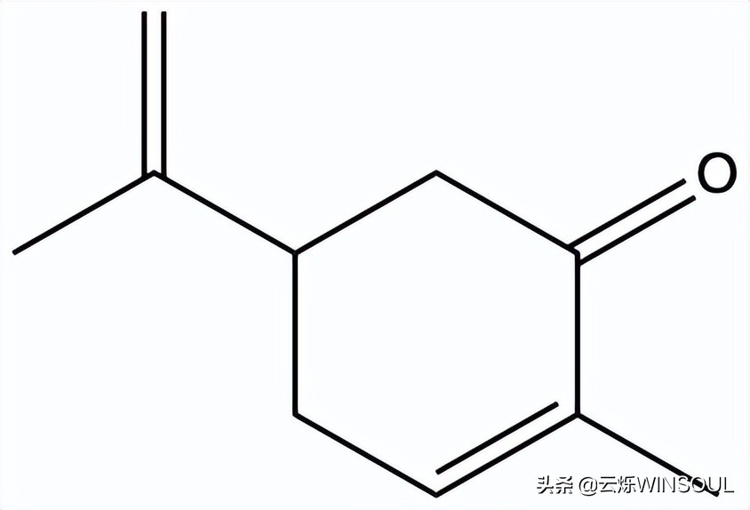 翠叶吹凉冷香飞留兰香浓醉晨昏