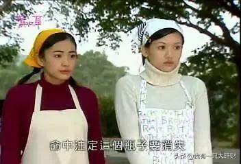 薰衣草从零开始,薰衣草诠释爱情