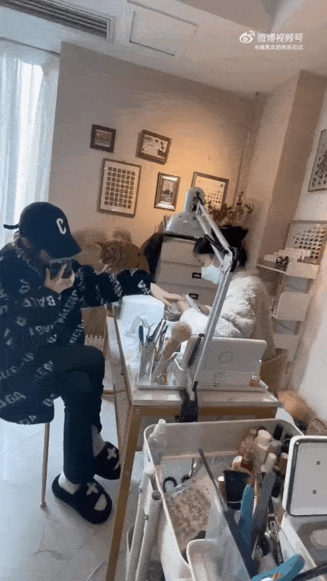 美甲店的猫咪,美甲店的可爱猫猫