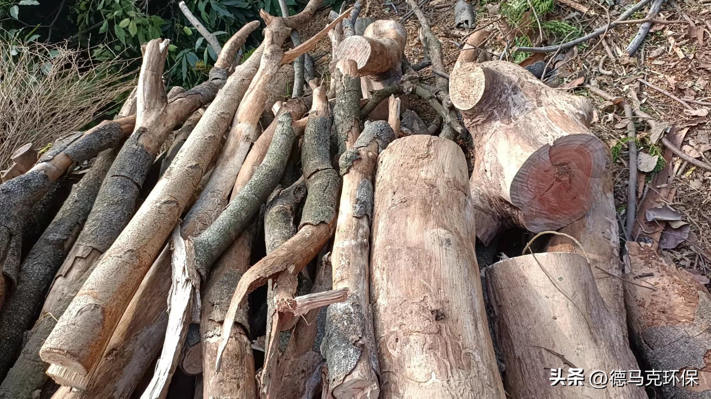 当下最适合农村创业的生意,农民也能成功