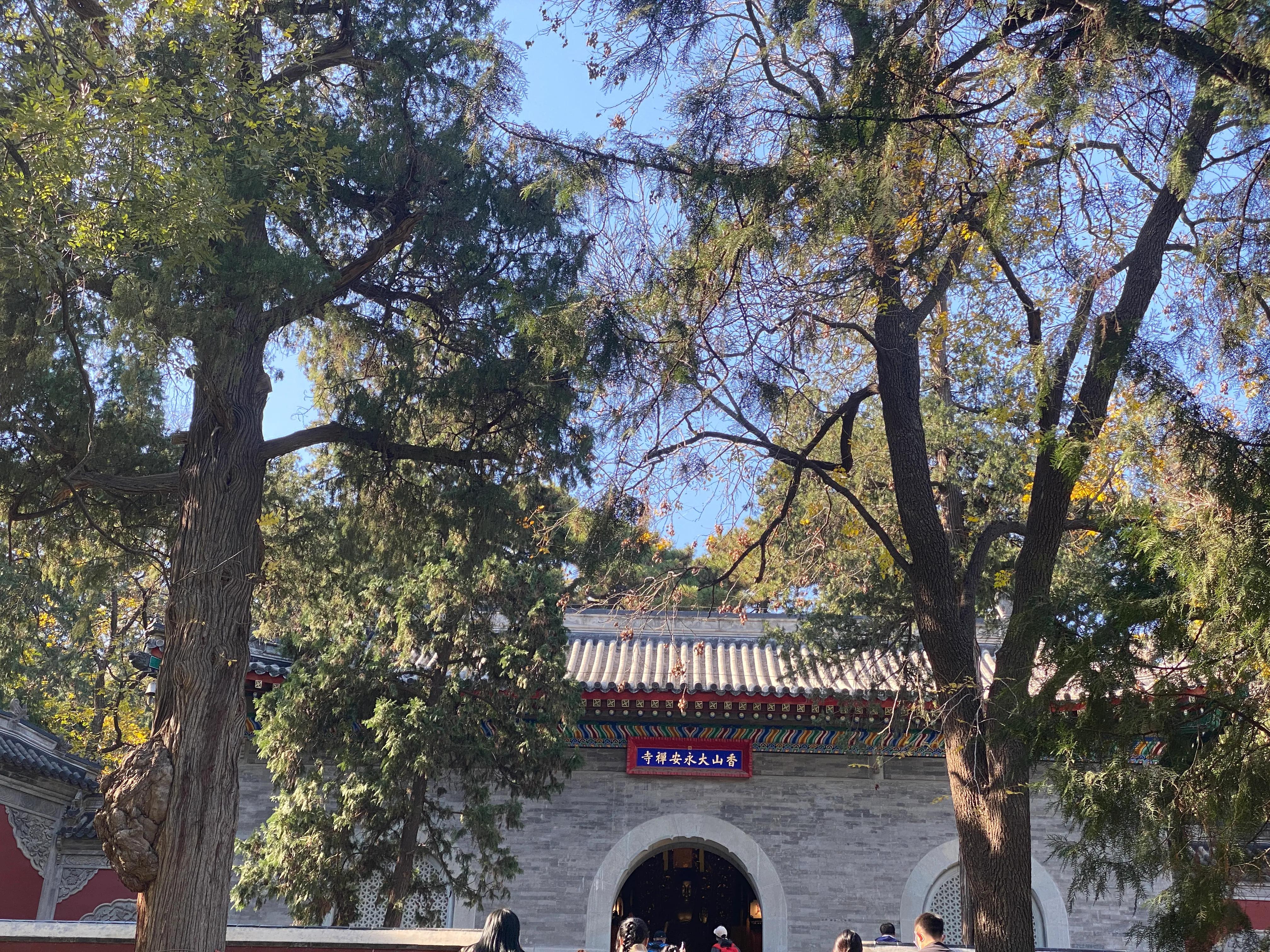 香山风景区打卡攻略,北京香山公园打卡