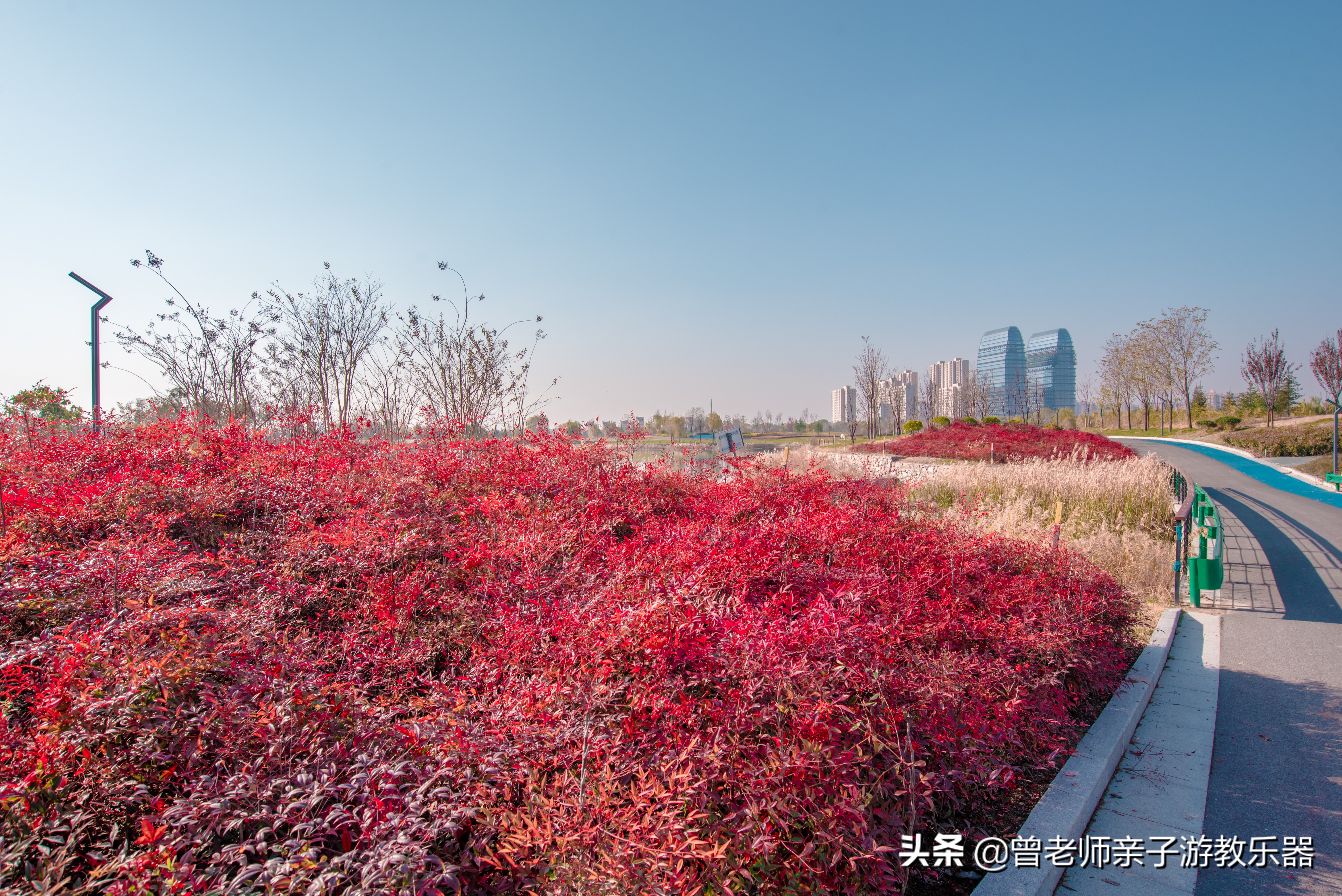 秦汉渭河湿地公园儿童,渭河湿地公园儿童乐园