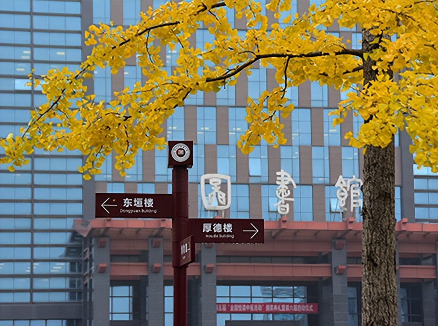 贵州中医药大学护理硕士毕业就业,贵州中医药大学毕业生就业方案